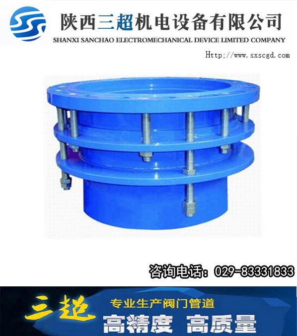 ����������BVSSJA-2�����s������;